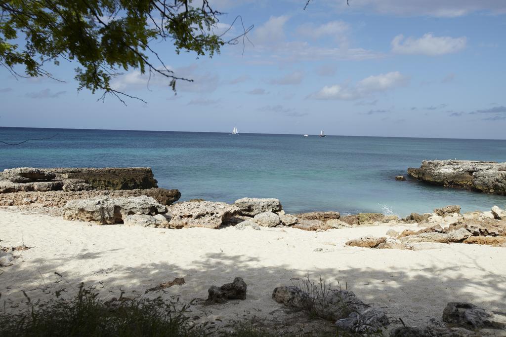 Villa Bougainvillea Aruba Rumba Suite Palm Beach Exterior photo