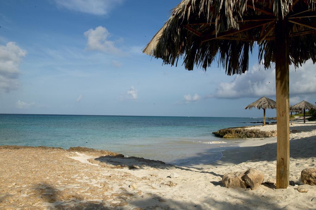 Villa Bougainvillea Aruba Rumba Suite Palm Beach Exterior photo