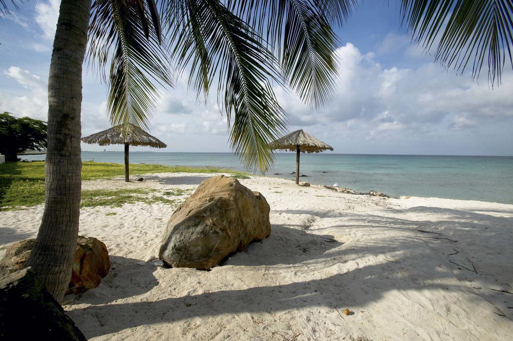 Villa Bougainvillea Aruba Rumba Suite Palm Beach Exterior photo