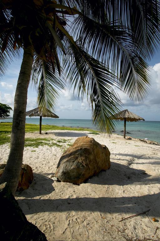 Villa Bougainvillea Aruba Rumba Suite Palm Beach Exterior photo