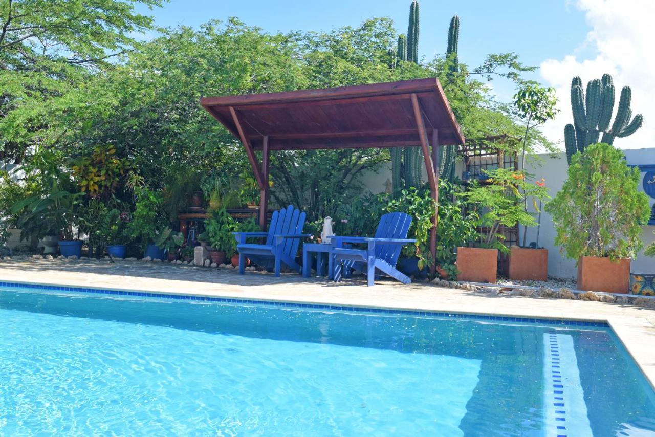 Villa Bougainvillea Aruba Rumba Suite Palm Beach Exterior photo